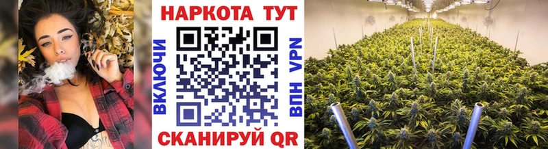 Купить закладку Снежногорск СК Меф Псилоцибиновые грибы Cocaine