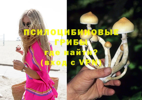 гашик Абинск