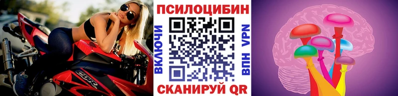 Псилоцибиновые грибы Psilocybine cubensis  наркота  Снежногорск 